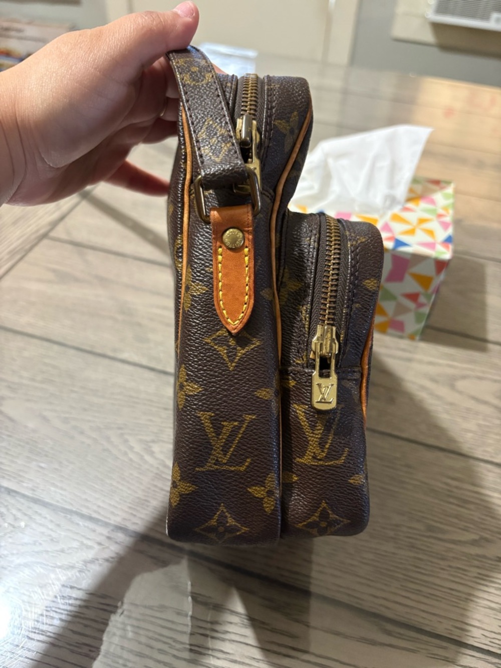 Louis Vuitton Amazone Crossbody Bag - Picture 3 of 11